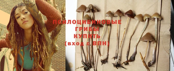 дмт Абдулино
