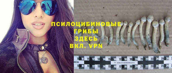 твердый Алексин