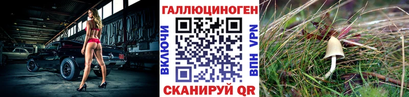 Галлюциногенные грибы Psilocybine cubensis  купить закладку  hydra ССЫЛКА  Карачев 