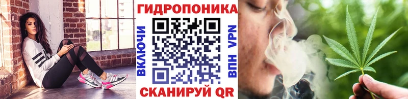 купить наркотики сайты  Карачев  Канабис VHQ 